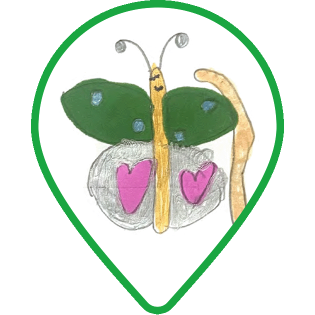 A Butterfly Feeder