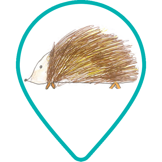 A Hedgehog House